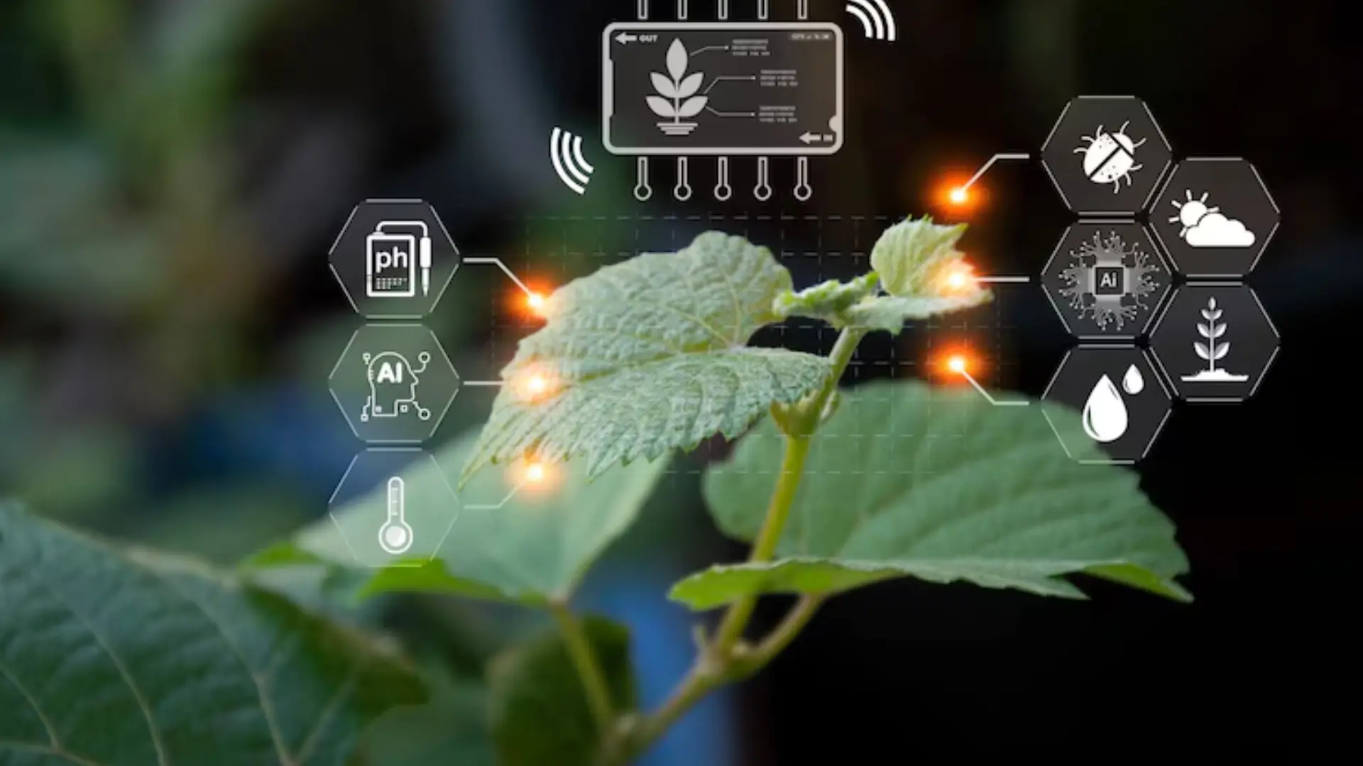 Advanced Agriculture Solutions