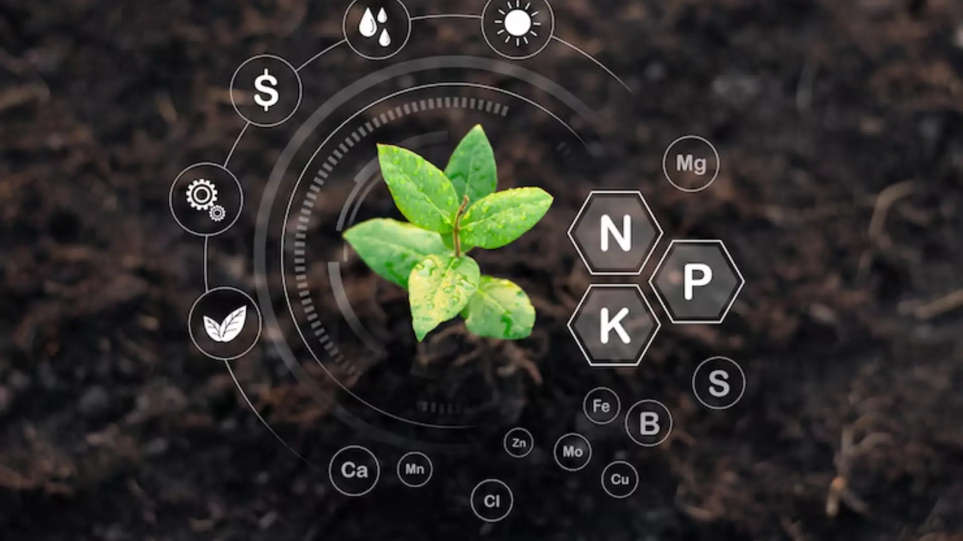 Advanced Nutrient Management