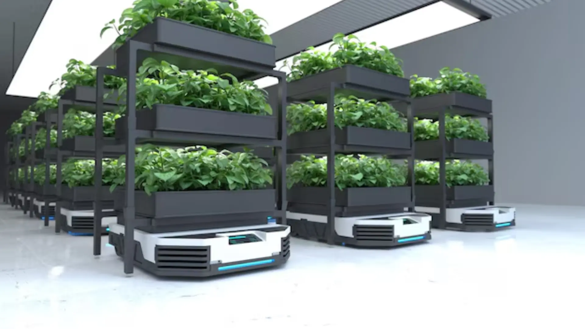 Advantages of Container Farming