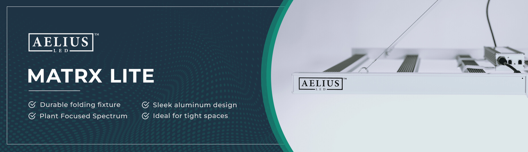 Aelius-Led-Email-Banners-1853-X-536%20%281%29.jpg?1722463421070