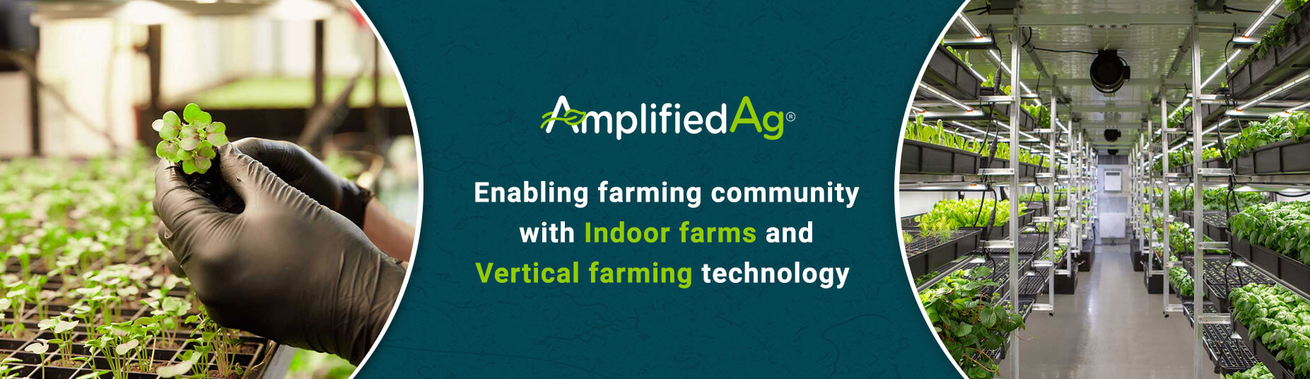 Amplified-Ag Company Growcycle