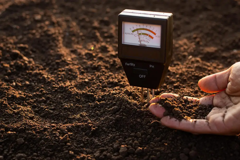 Assess Soil Condition
