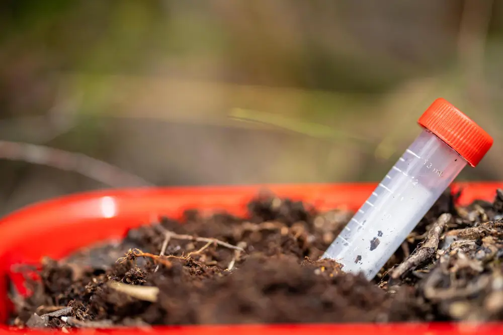 Balance pH for Optimal Plant Growth