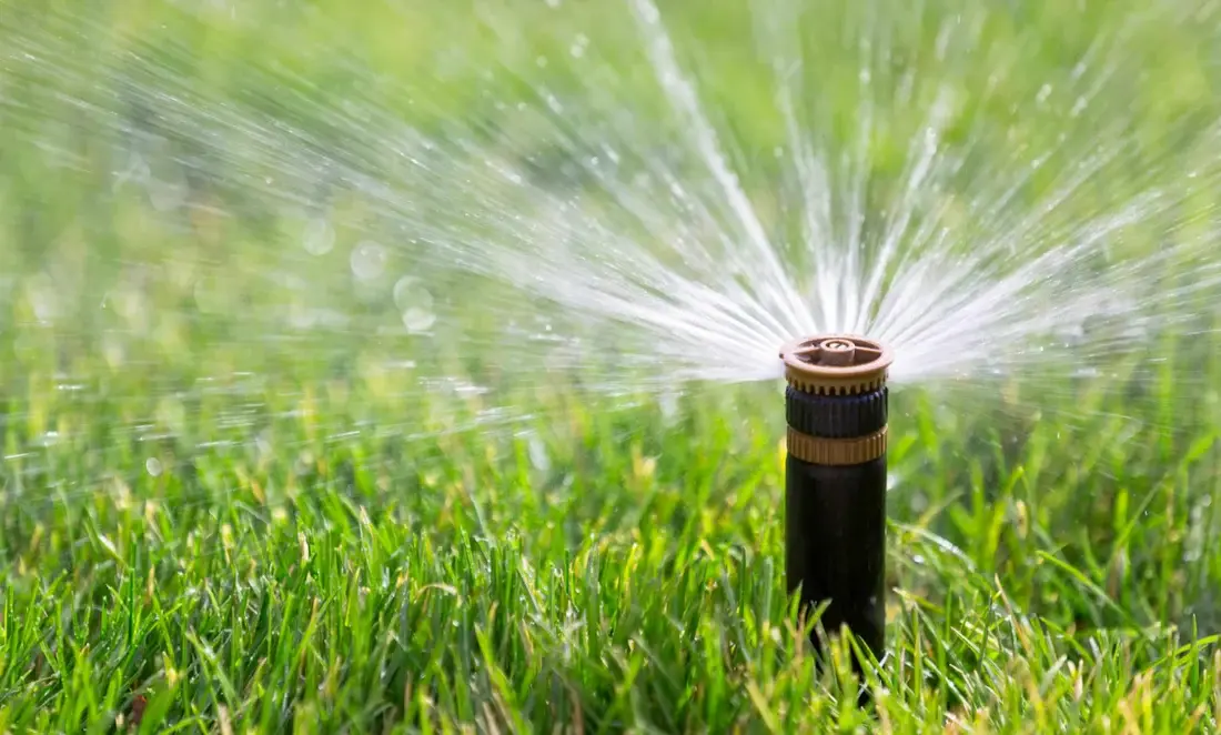 Benefits of Automatic Lawn Watering