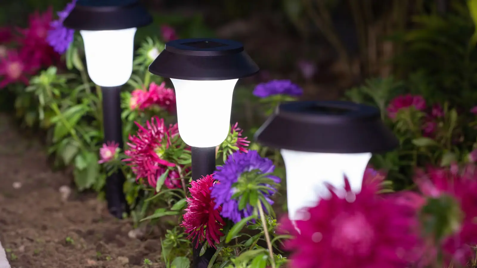 Best Solar Patio and Outdoor Living Lights