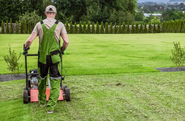 Best Time to Aerate Lawn