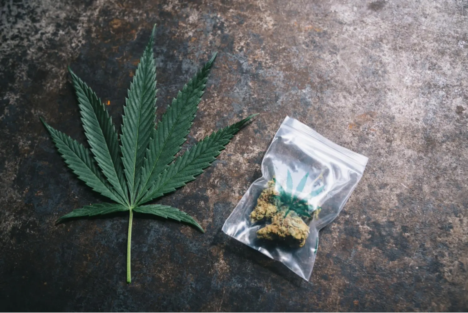 Cannabis Edible packaging critical role