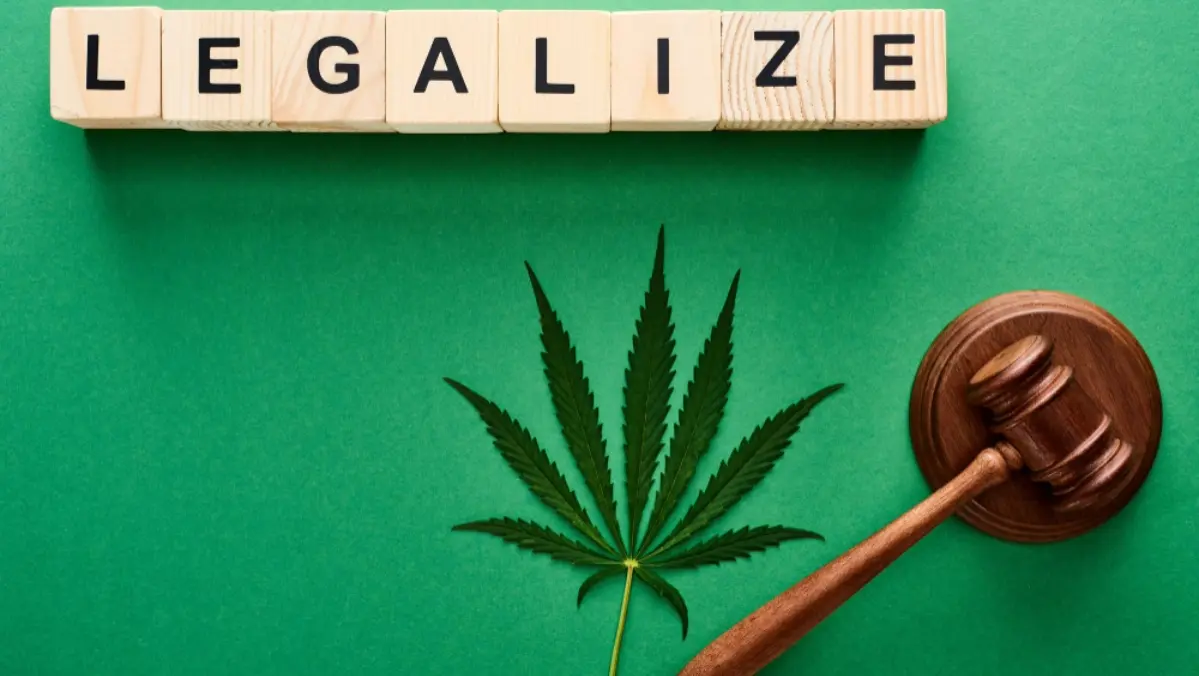Cannabis Legality