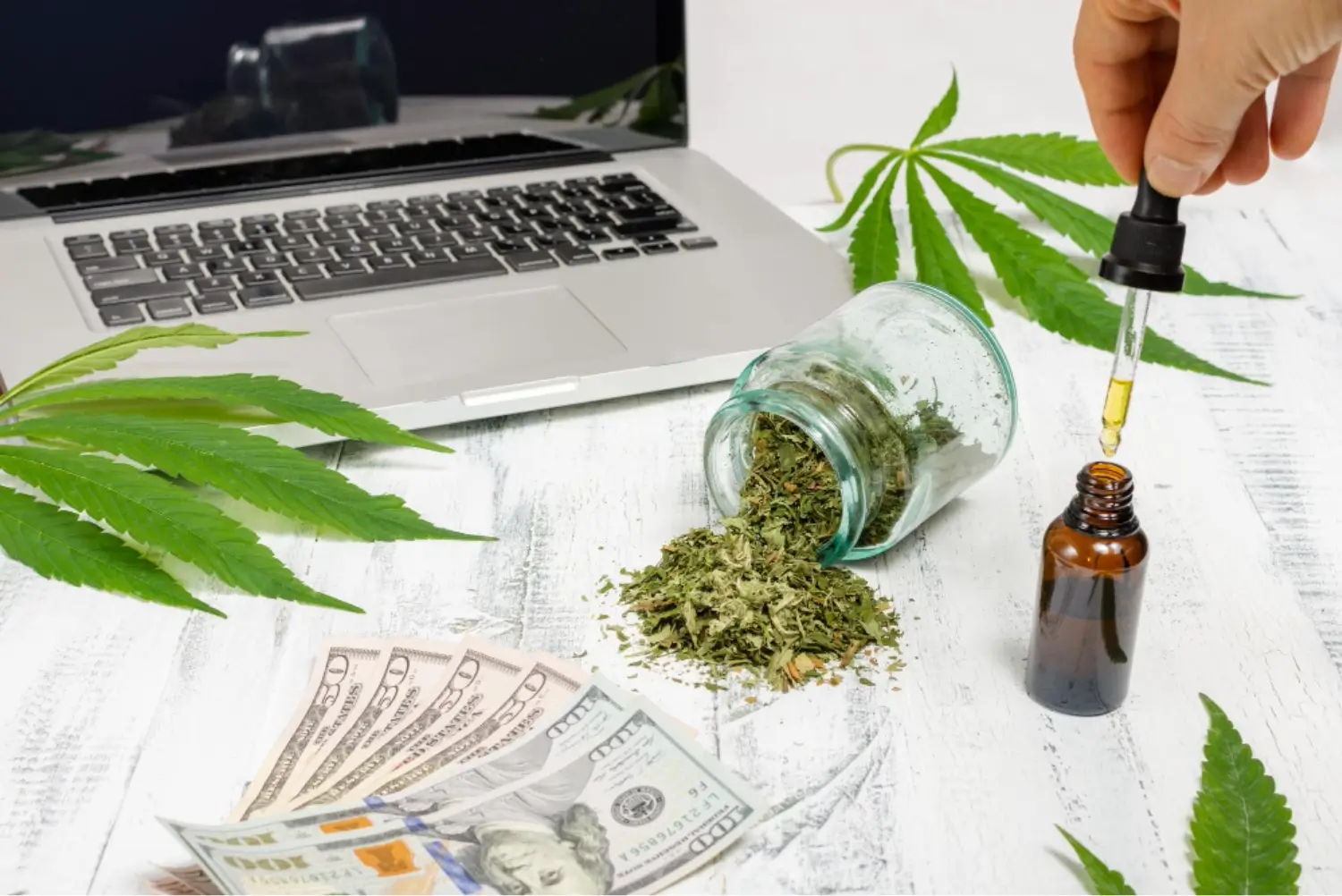 Cannabis Payroll Procedures