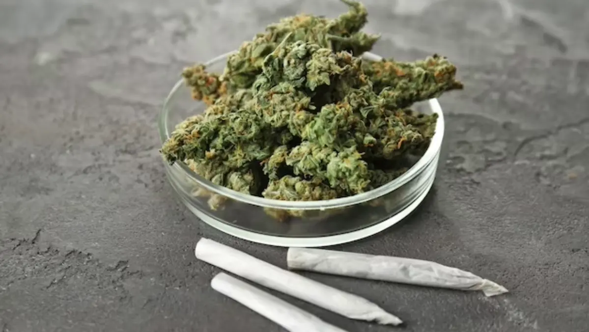 Cannabis Pre-Rolls