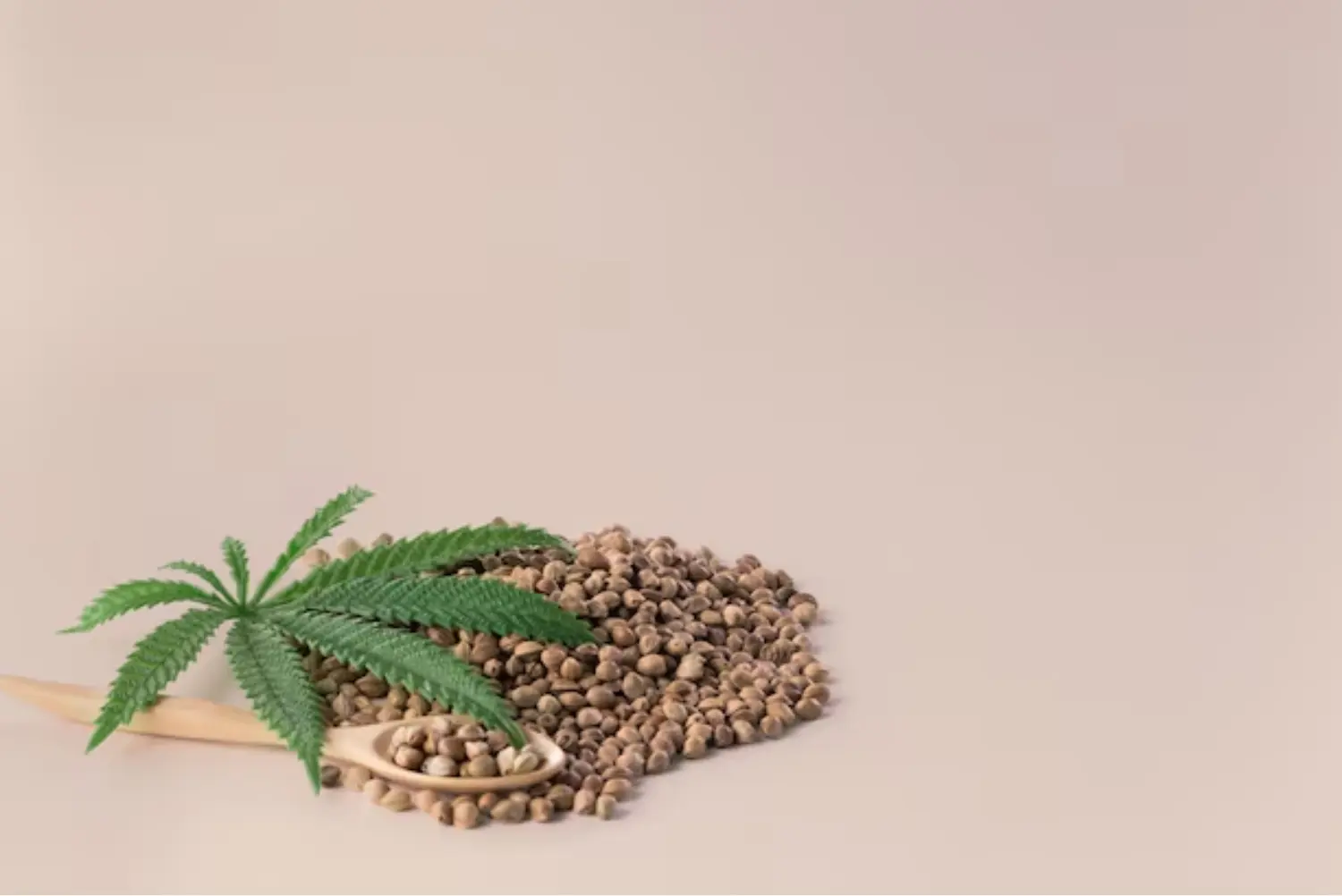 Cannabis Seed Selection