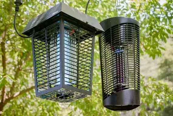 Choose the Right Mosquito Trap
