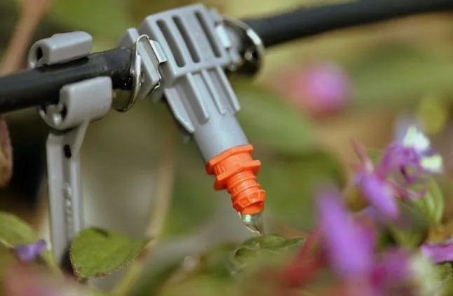 Choosing the Right Emitters