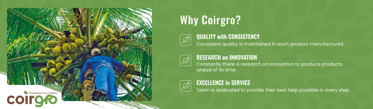 Coirgro%20-%20Article%20Banner-%201296x379-2.jpg?1750101728993