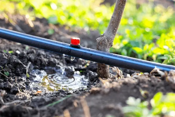 Core Components of a Micro Irrigation System