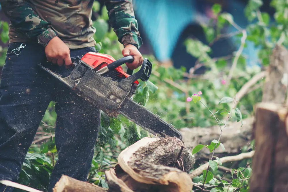 Cutting Tree Techniques