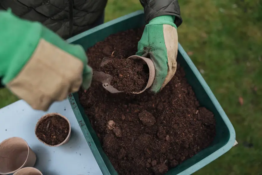 DIY Soil pH Testing