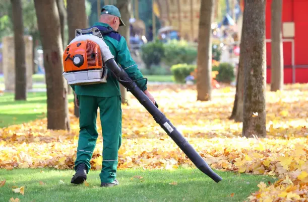 DIY vs Hiring a Leaf Cleanup Professional