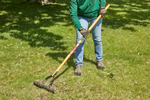 Dethatching Professional