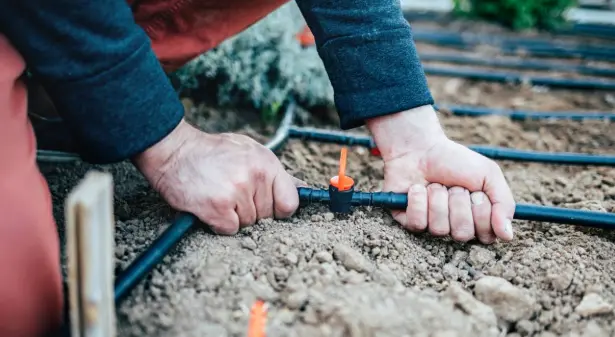 Drip Irrigation Installation