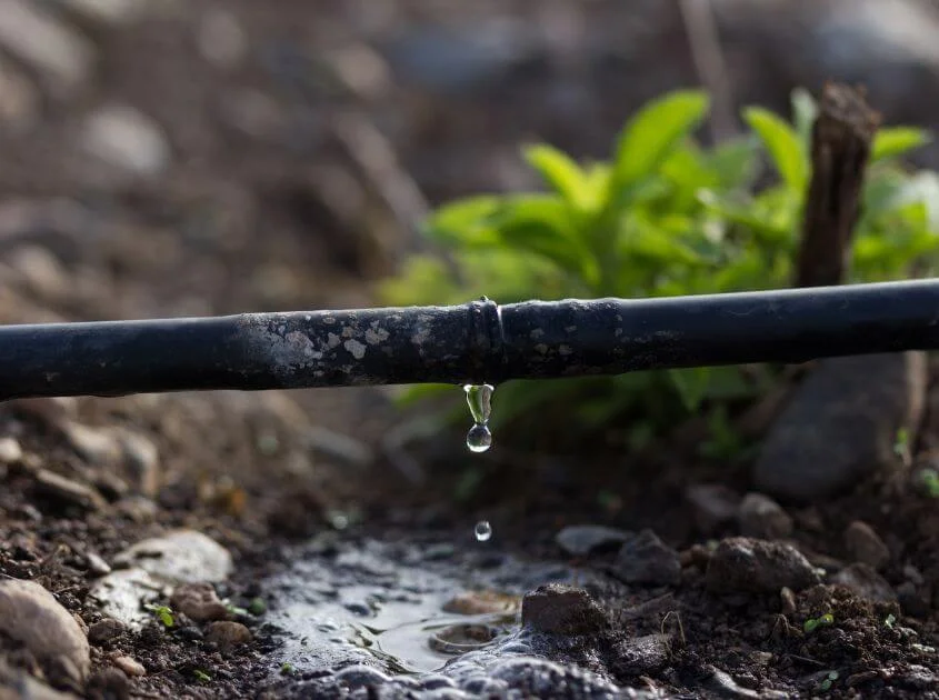  Drip Watering System Experts