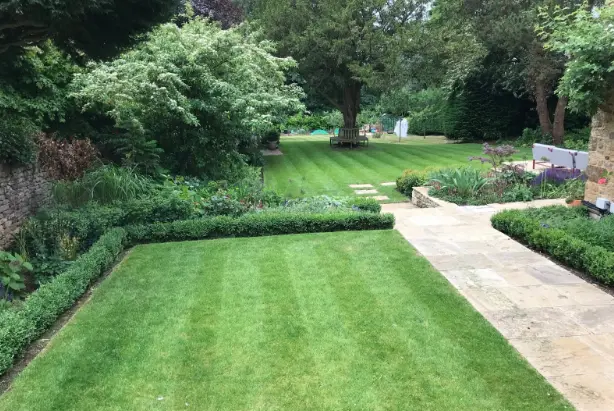 Edges Maintenance Professional