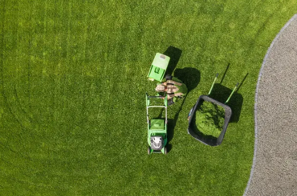 Edging and Trimming Professional