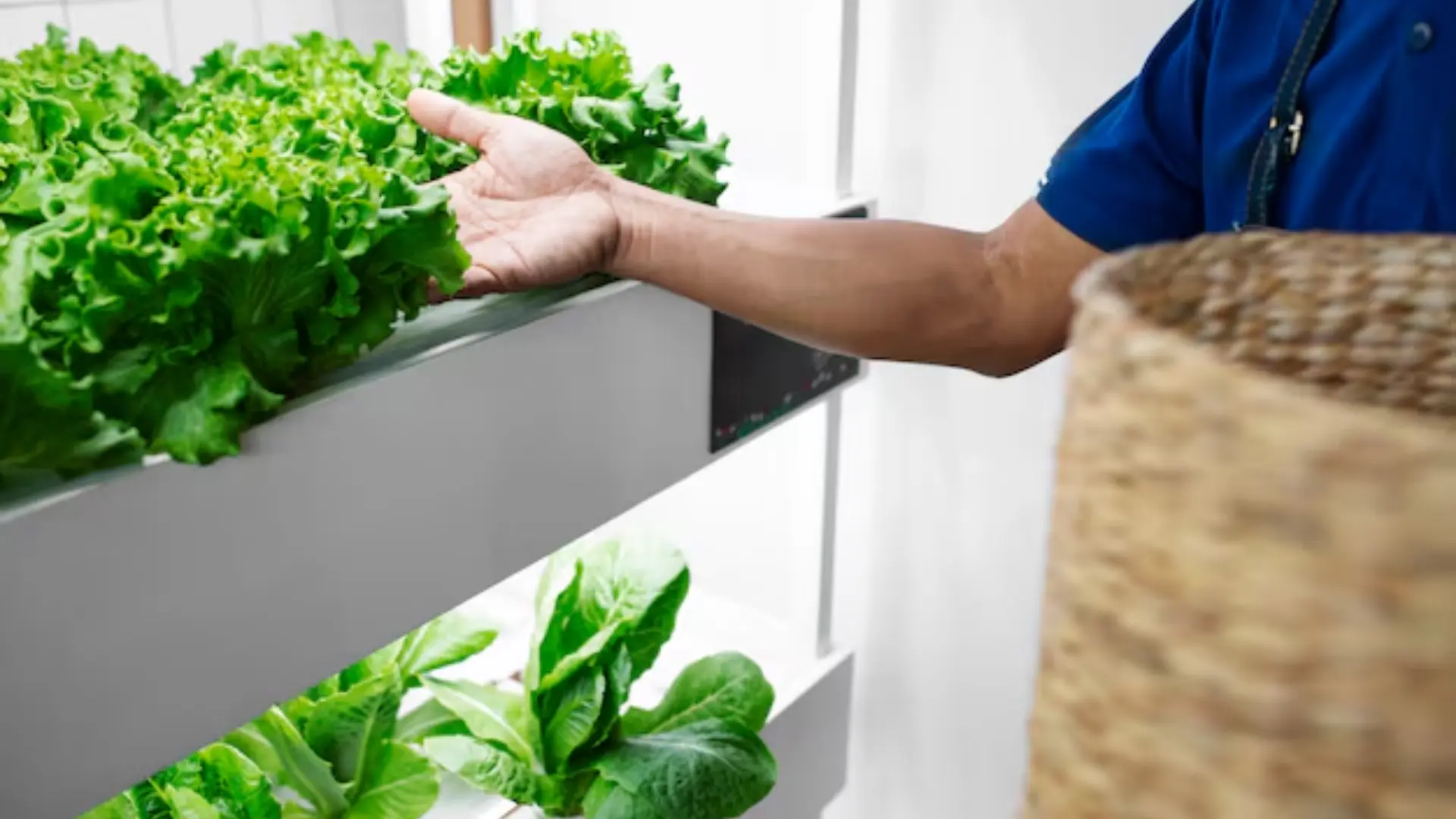 Efficiency in Indoor Farming