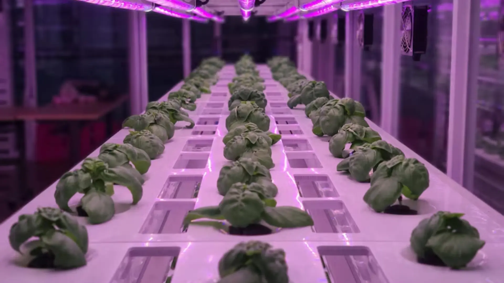 Efficient Indoor Farming Efficient Indoor Farming