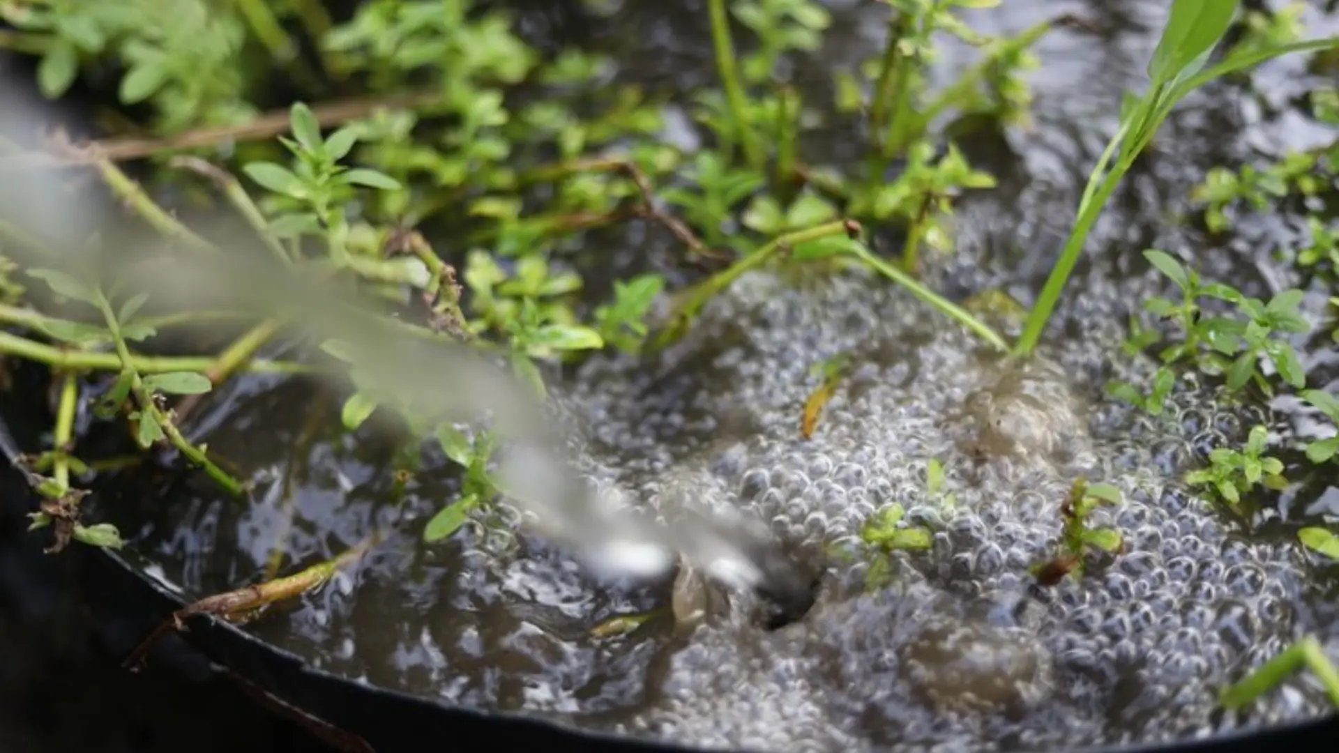 Enhancing Water Retention