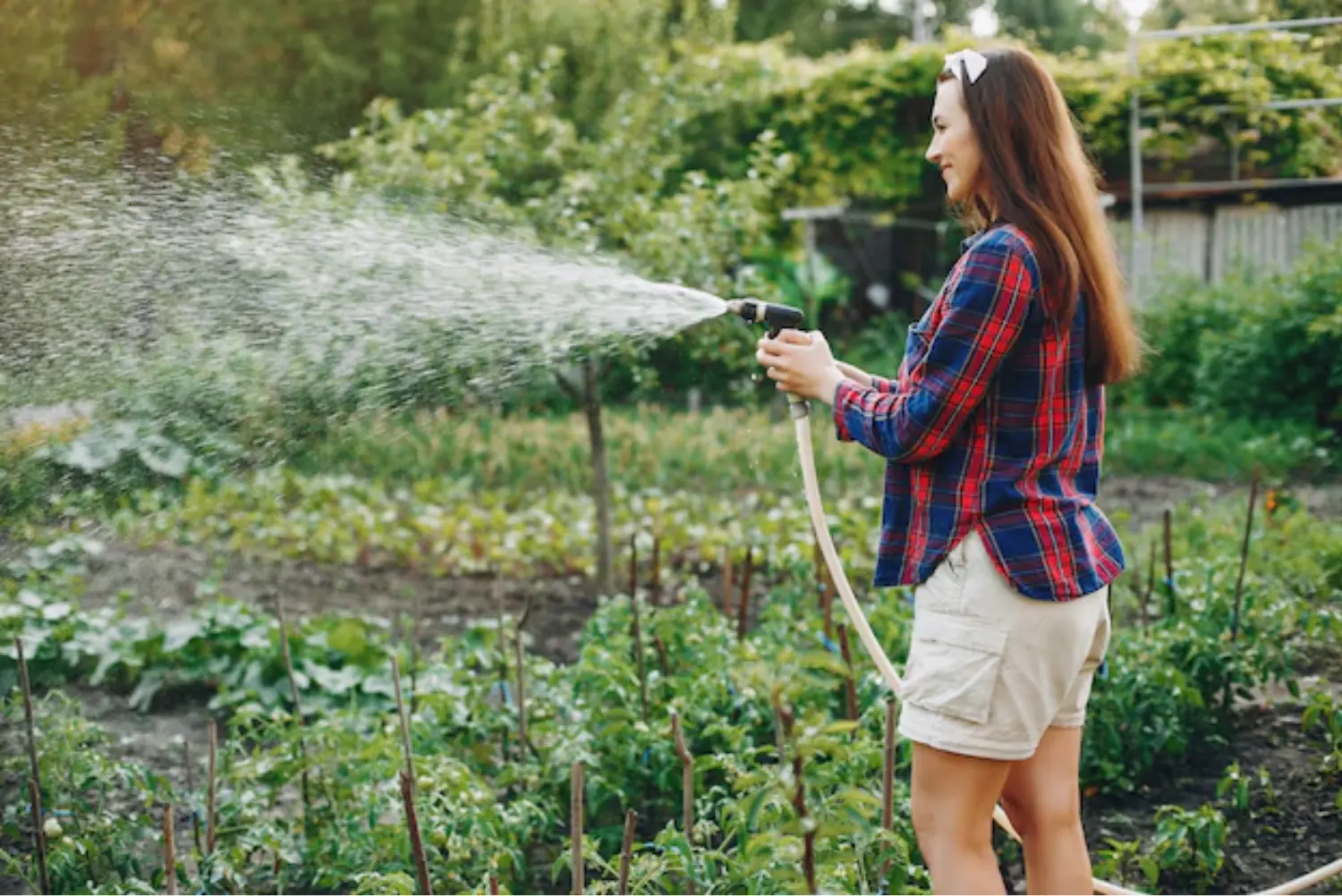 Environmental Controllers in Farming