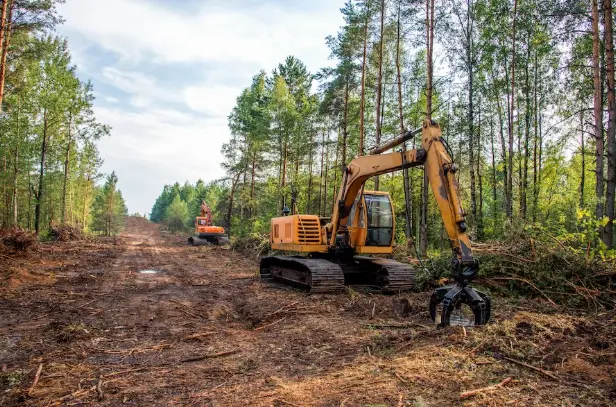 Factors That Influence Land-Clearing Cost