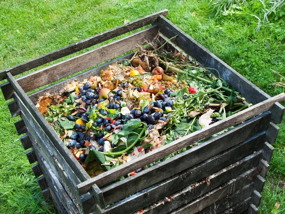 Factors%20to%20Choose%20Compost%20Bin.webp?1770237065670