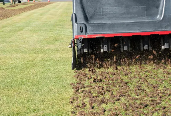Factors to Consider When Hiring Aeration Services
