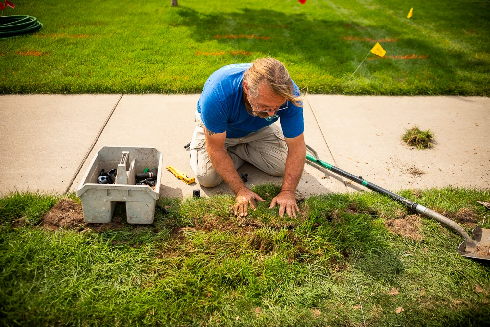 Fall Maintenance
