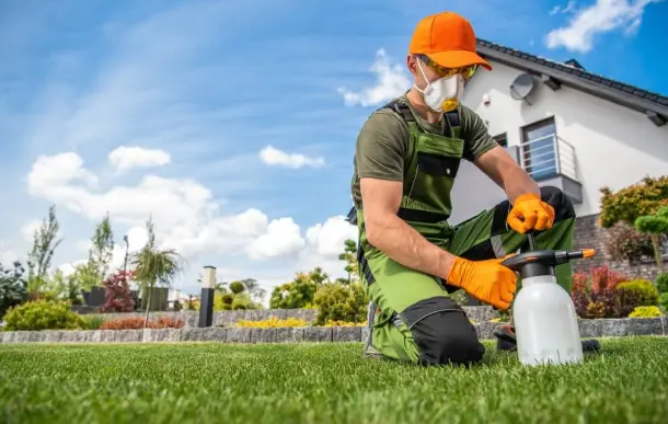 Fertilizing After Reseeding