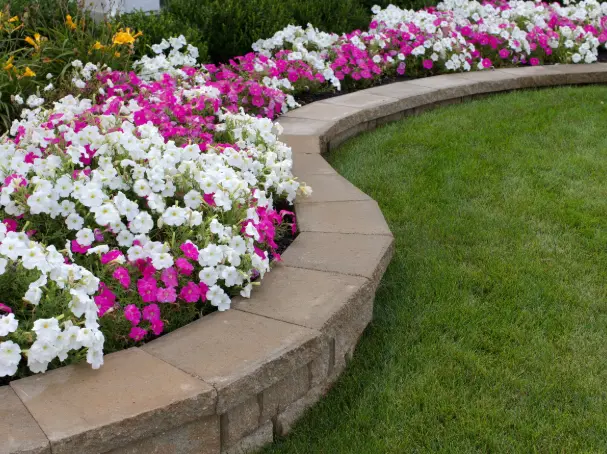 Garden Beds and Borders Professional