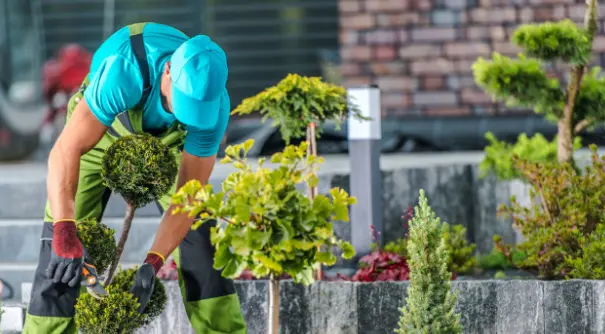 Garden Remodeling Professional