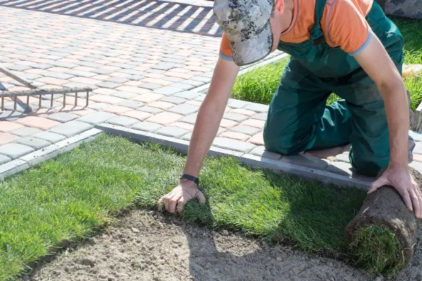 Garden Transformation Professional