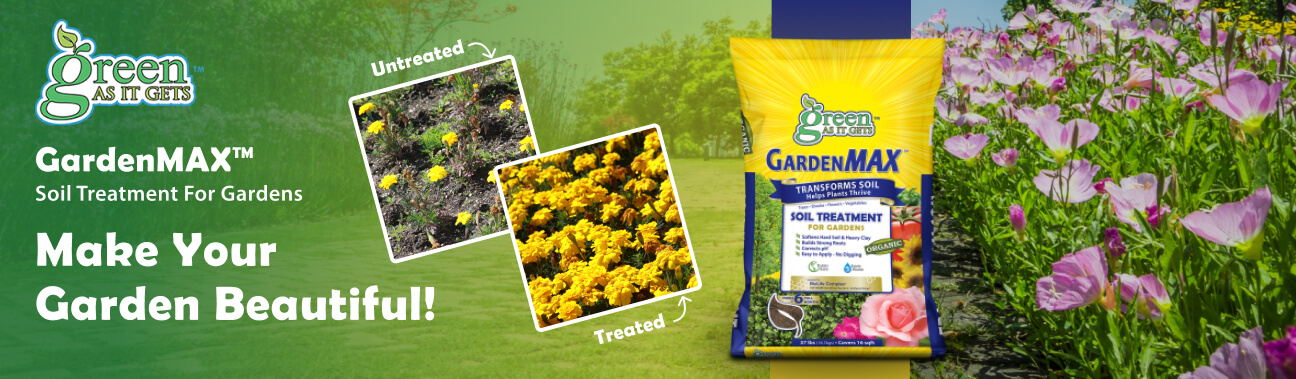 Green%20As%20it%20Gets%20-%20Article%20Banner-%201296x379.jpg?1751652742470