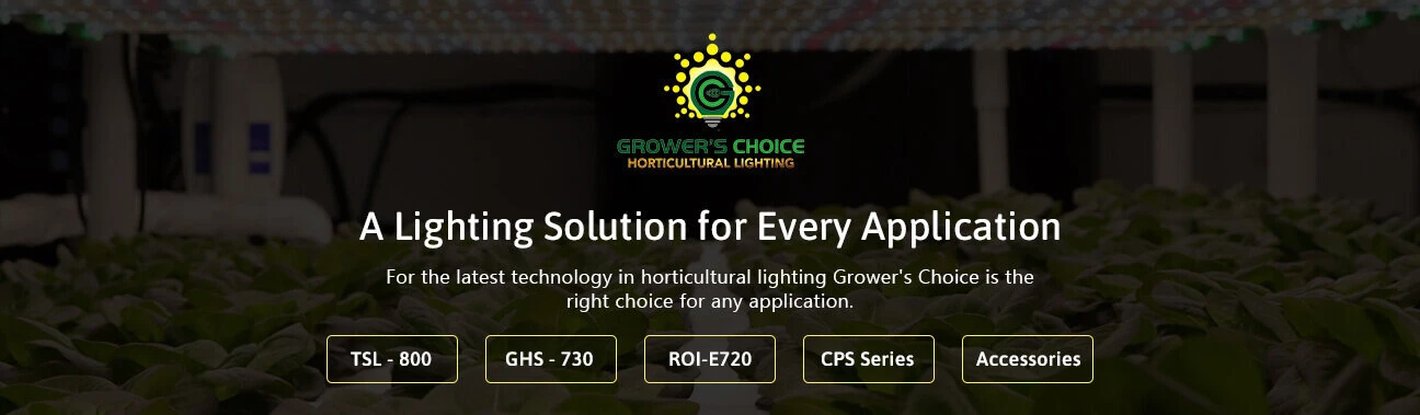 Grower_s-choice-article-banners-1296X379-v1.webp?1770663754430
