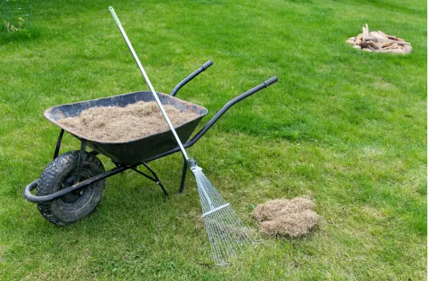 Guide to Dethatching Lawn
