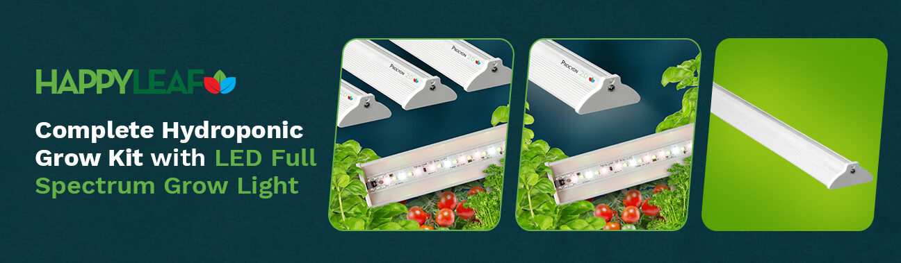 Happy%20Leaf%20LED%20Article%201296X379-v2%20(1).jpg?1745954055661