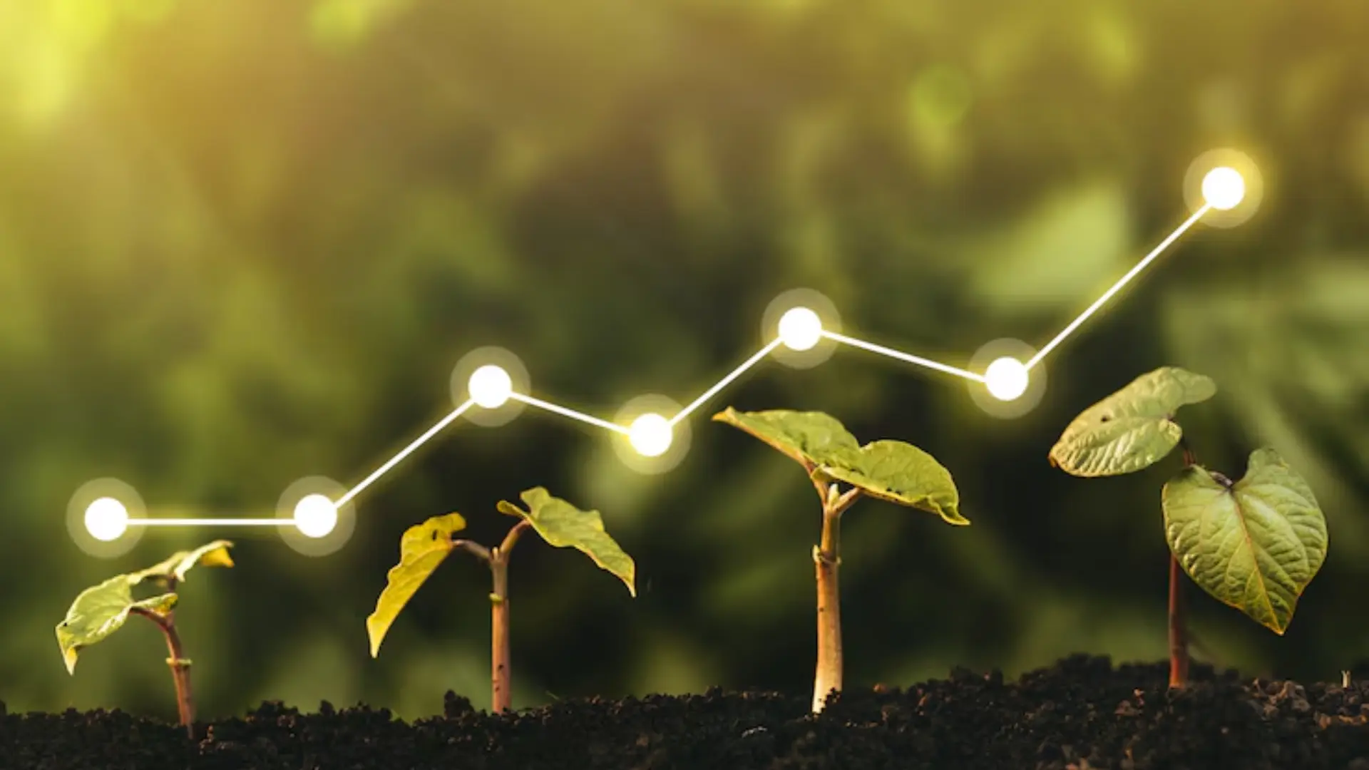 Healthy Plant Growth