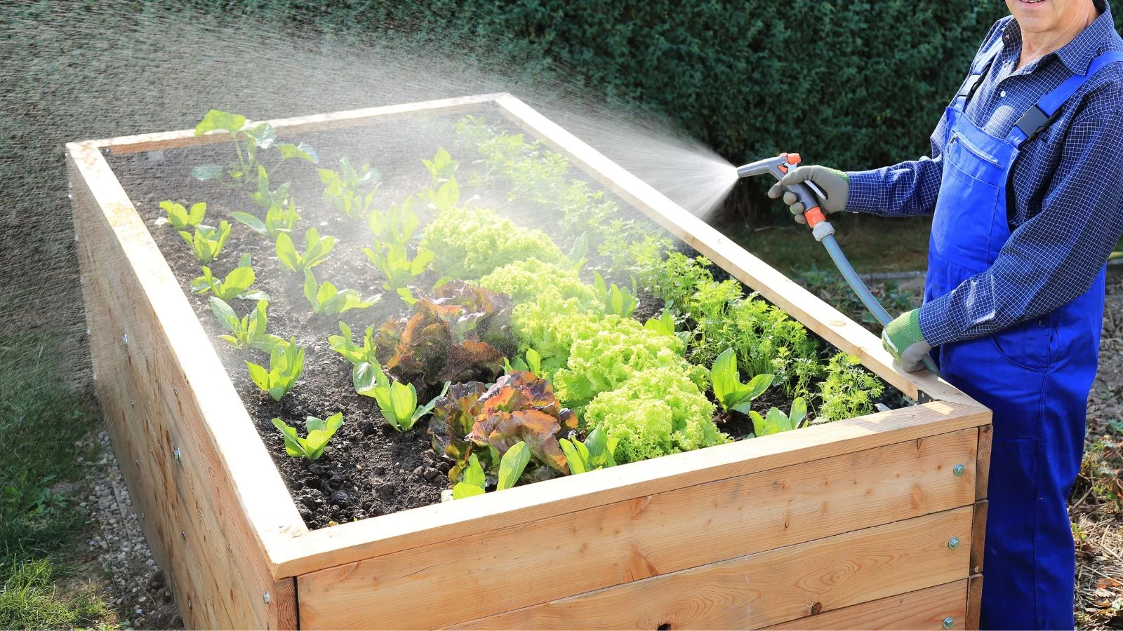 Hire Drip Irrigation Installation Services