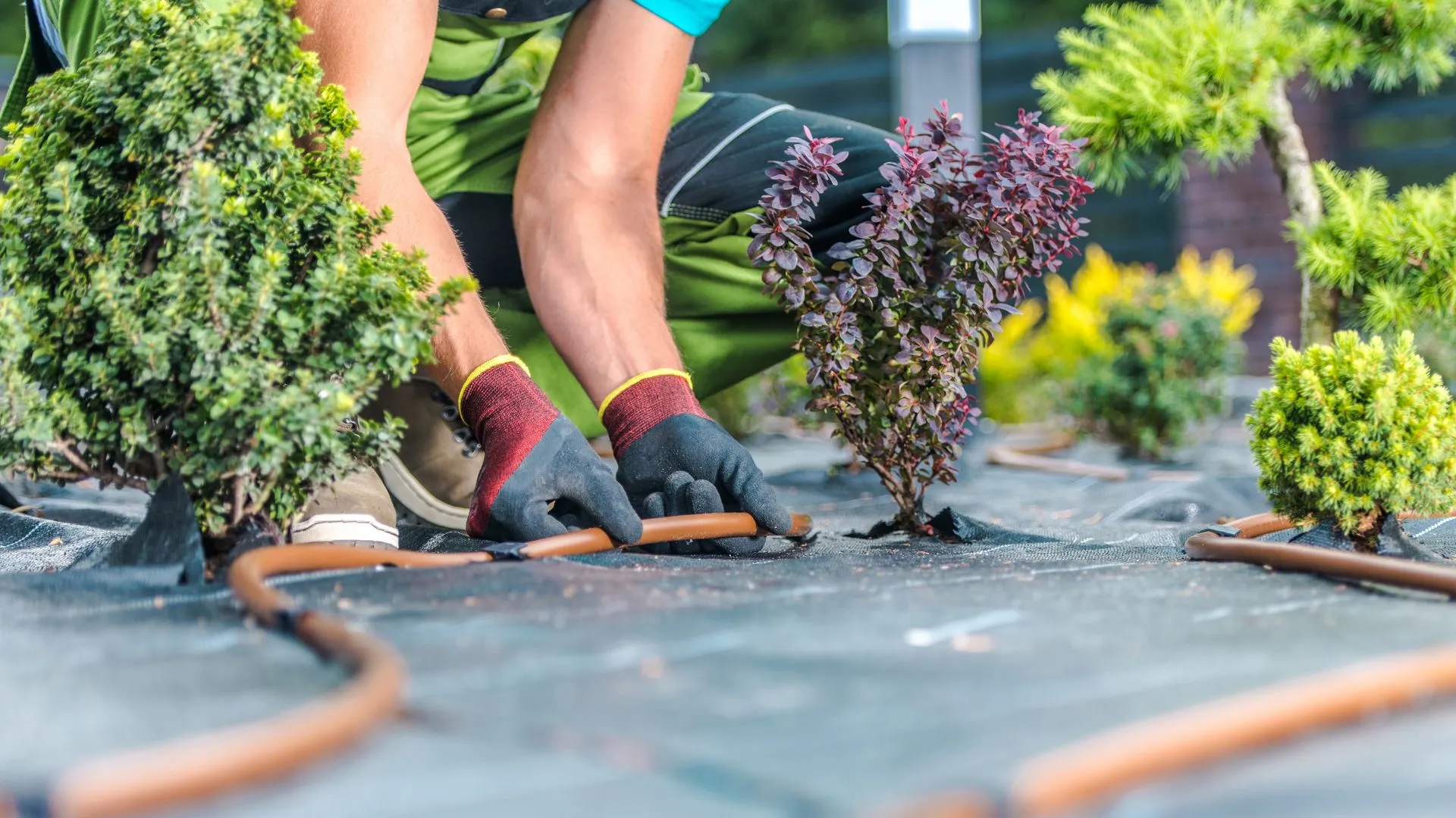 Hire Irrigation Maintenance Experts