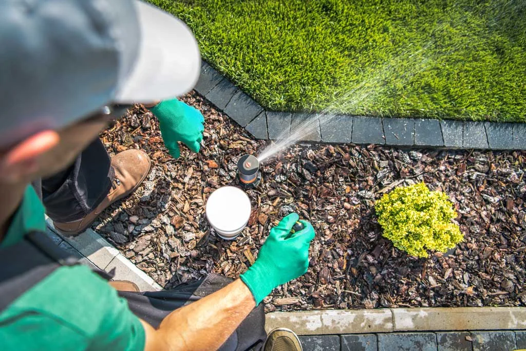 Hiring Garden Watering Experts