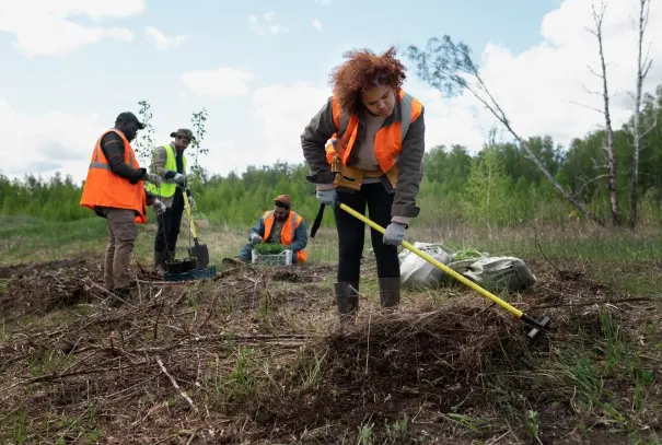 Land Clearing Professional
