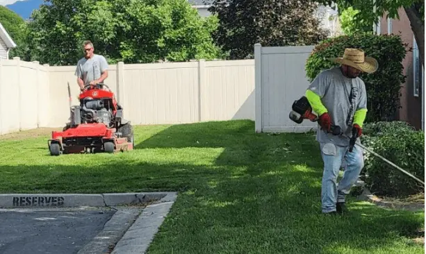 Hiring a Lawn Mowing Professional