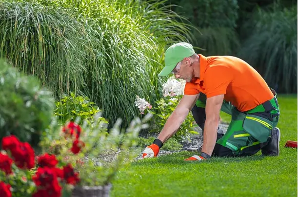 Hiring a Lawn Services Professional